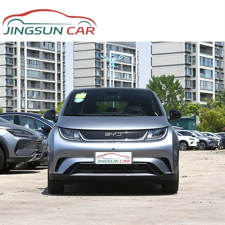 BYD delfin